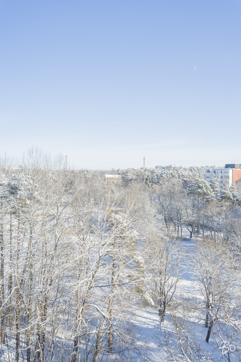 Luolavuorentie 50 - bild 20