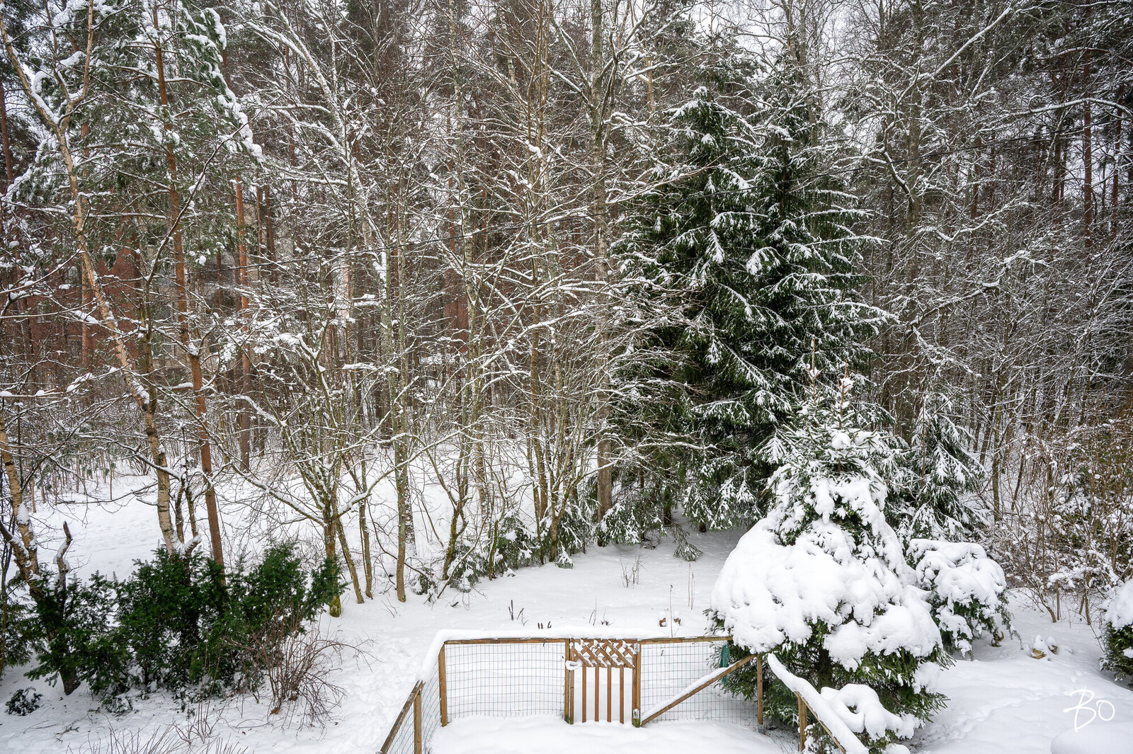 Plassinkatu 11  - image 40