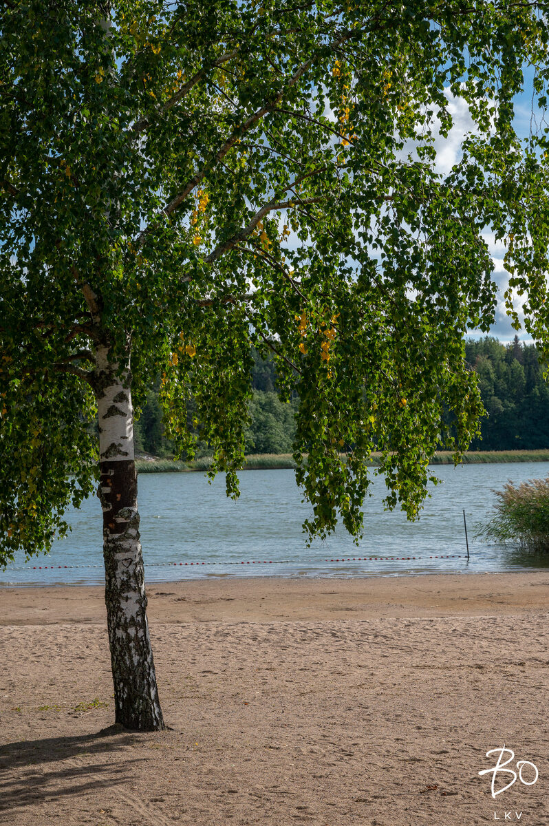 Voivalanranta 4  - bild 33