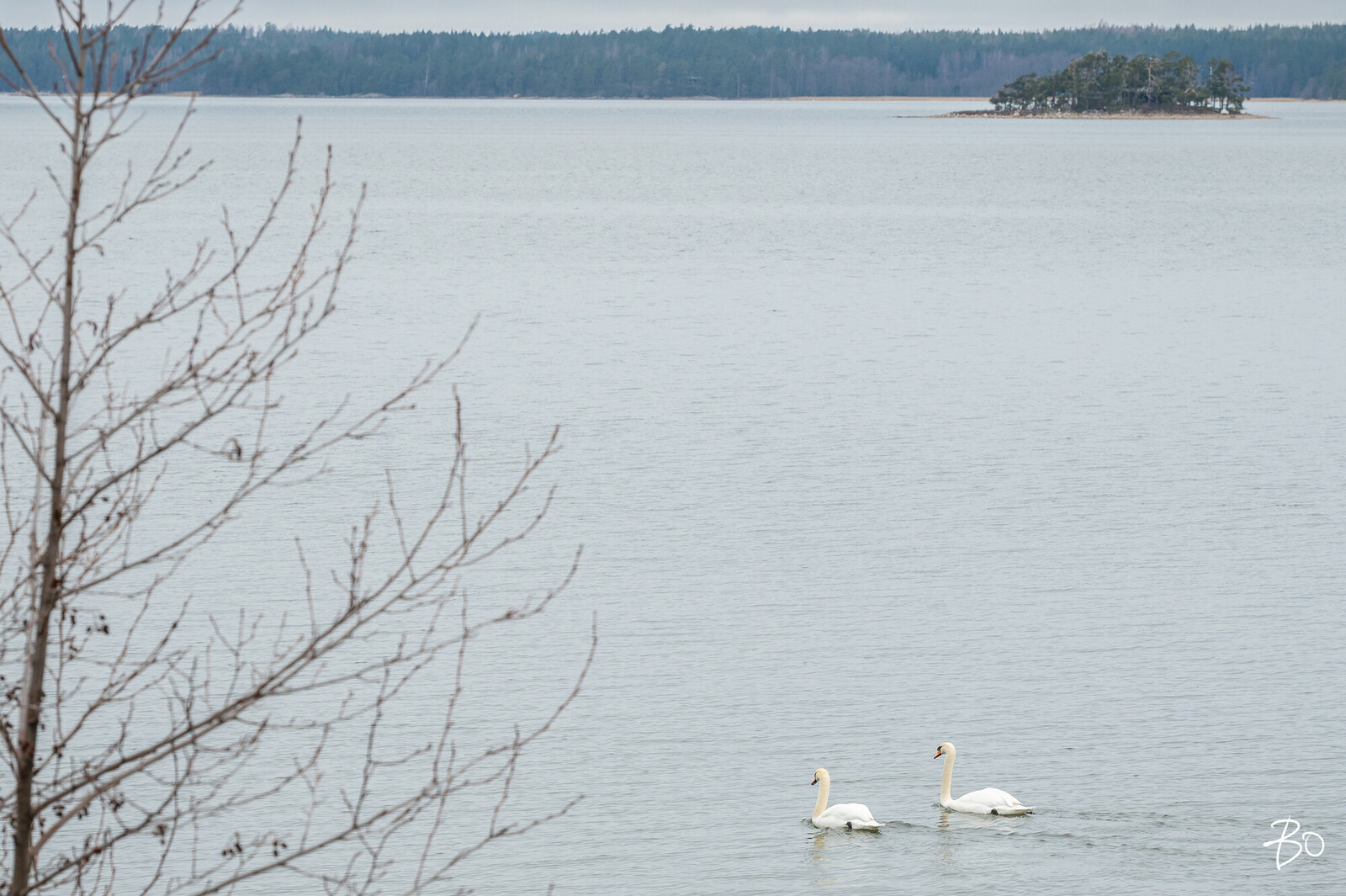 Liedonrannantie 168 - kuva 58