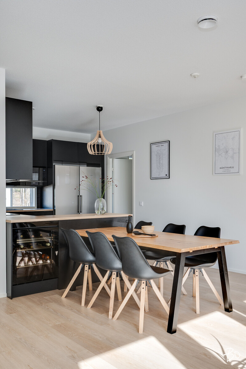 Manunlenkki 4 - image 6