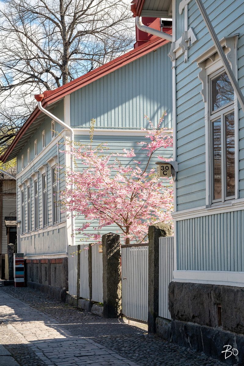 Rauhankatu 30 - kuva 24