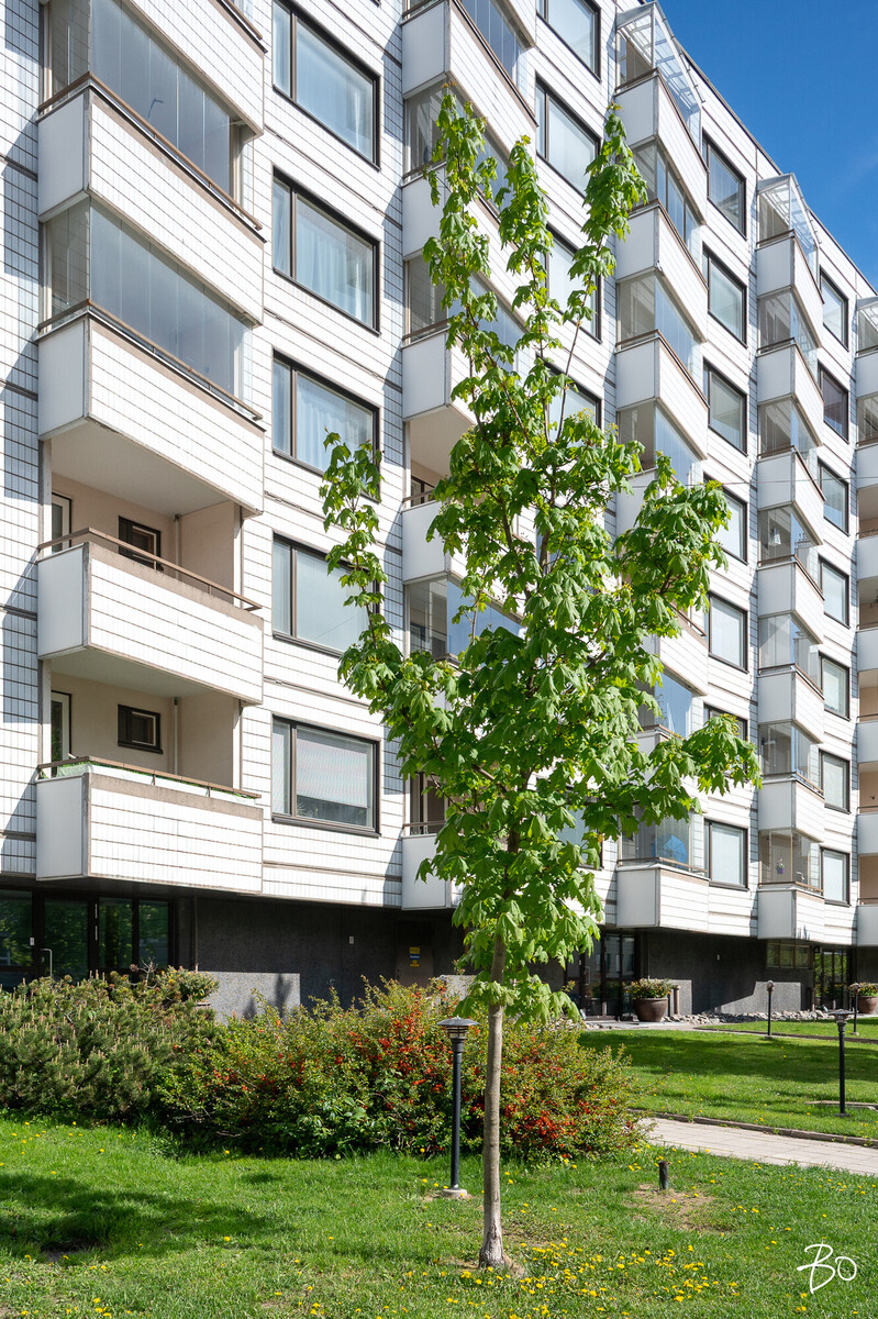 Itäinen Pitkäkatu 29 - kuva 4