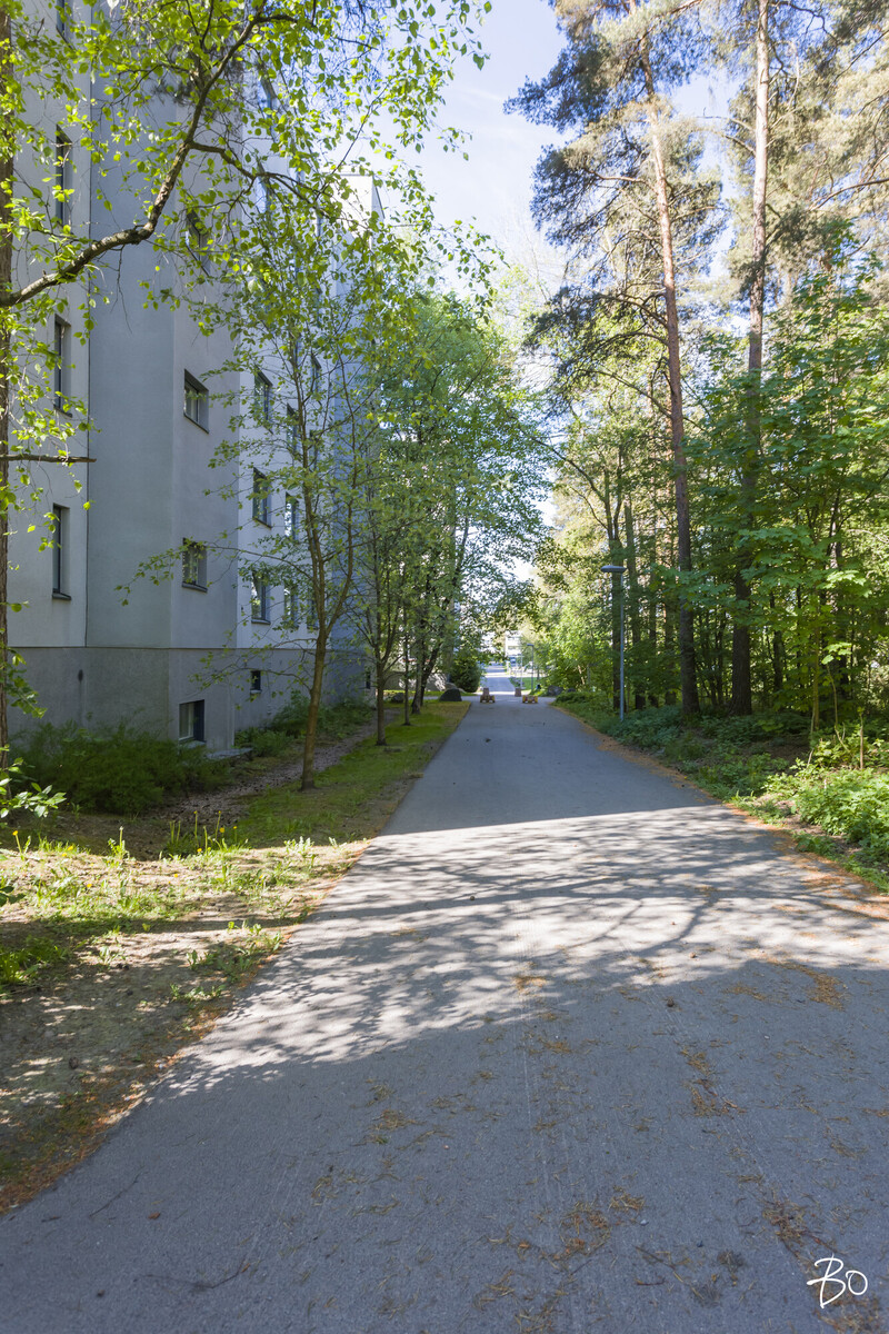 Friskinpolku 7 - kuva 31