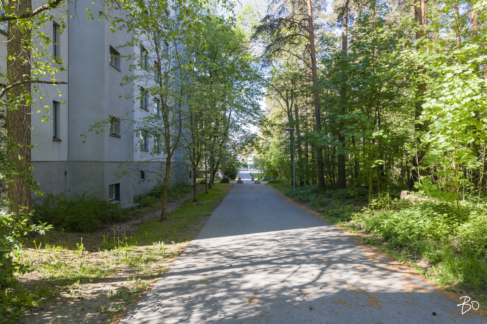 Friskinpolku 7 - kuva 32