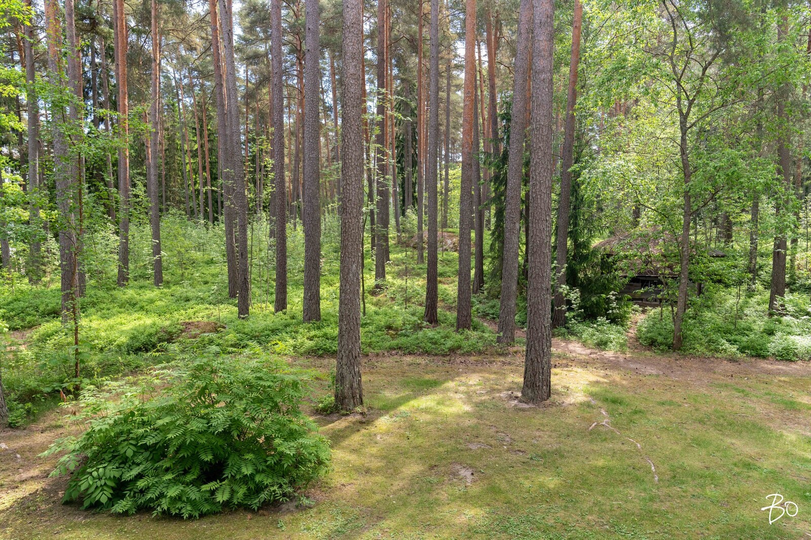 Kuikankatu 5 - kuva 34