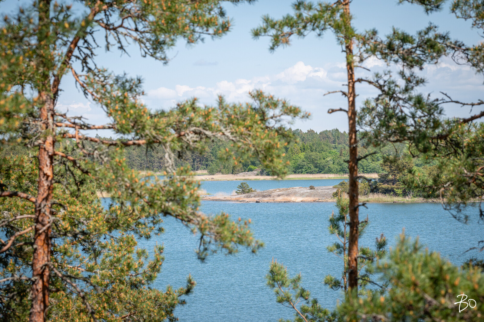 Syväniementie 175 - kuva 46