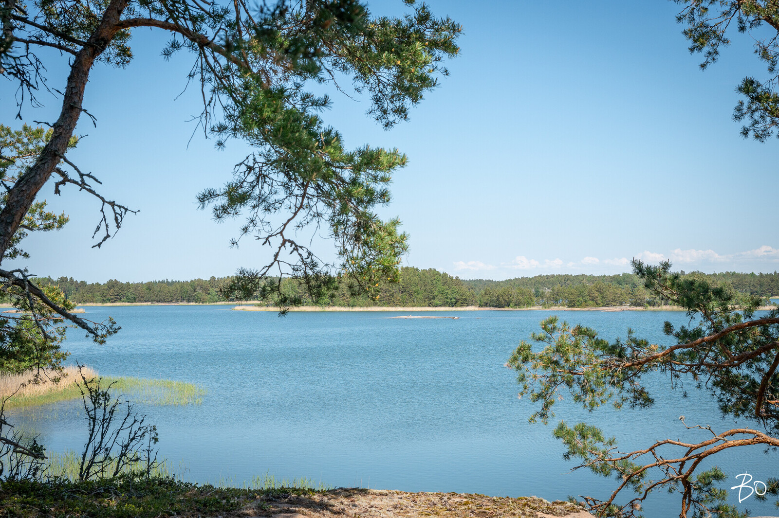 Syväniementie 175 - kuva 50
