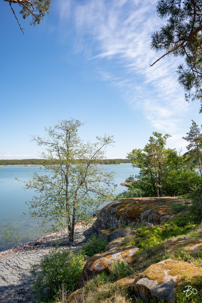 Syväniementie 175 - kuva 70