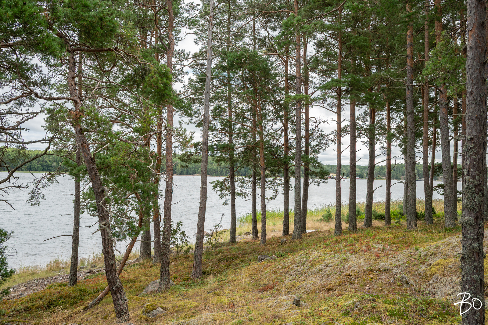 Kråkholmen  - kuva 84