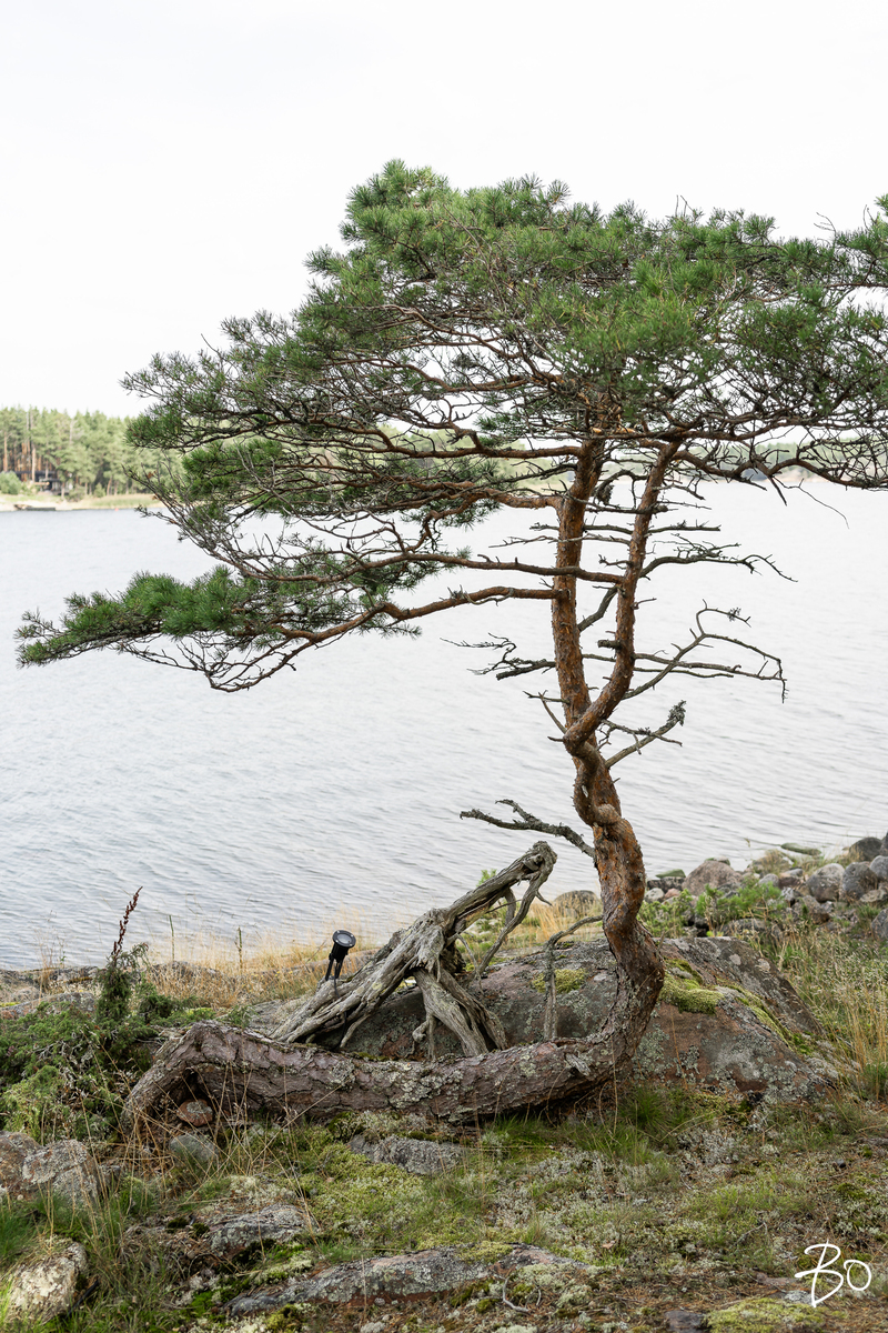 Kråkholmen  - kuva 75