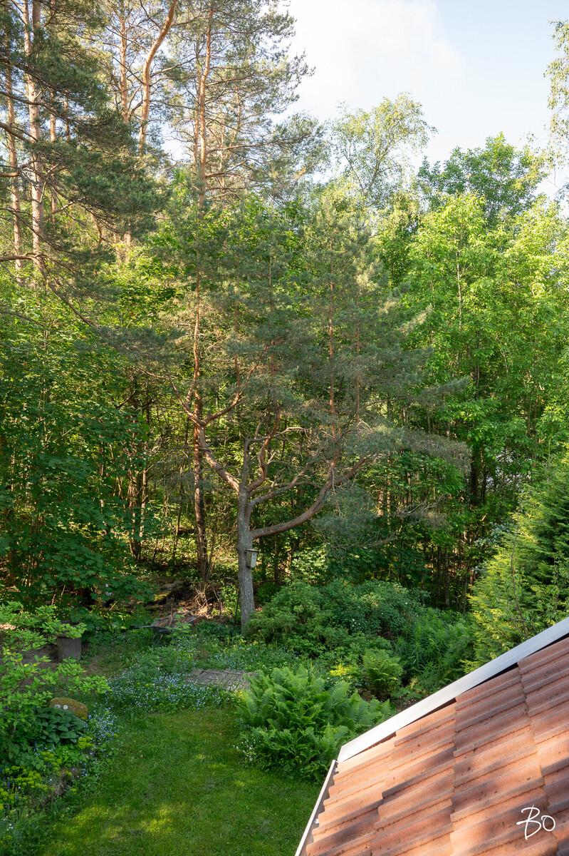 Ruotumiehenkatu 8 - bild 21