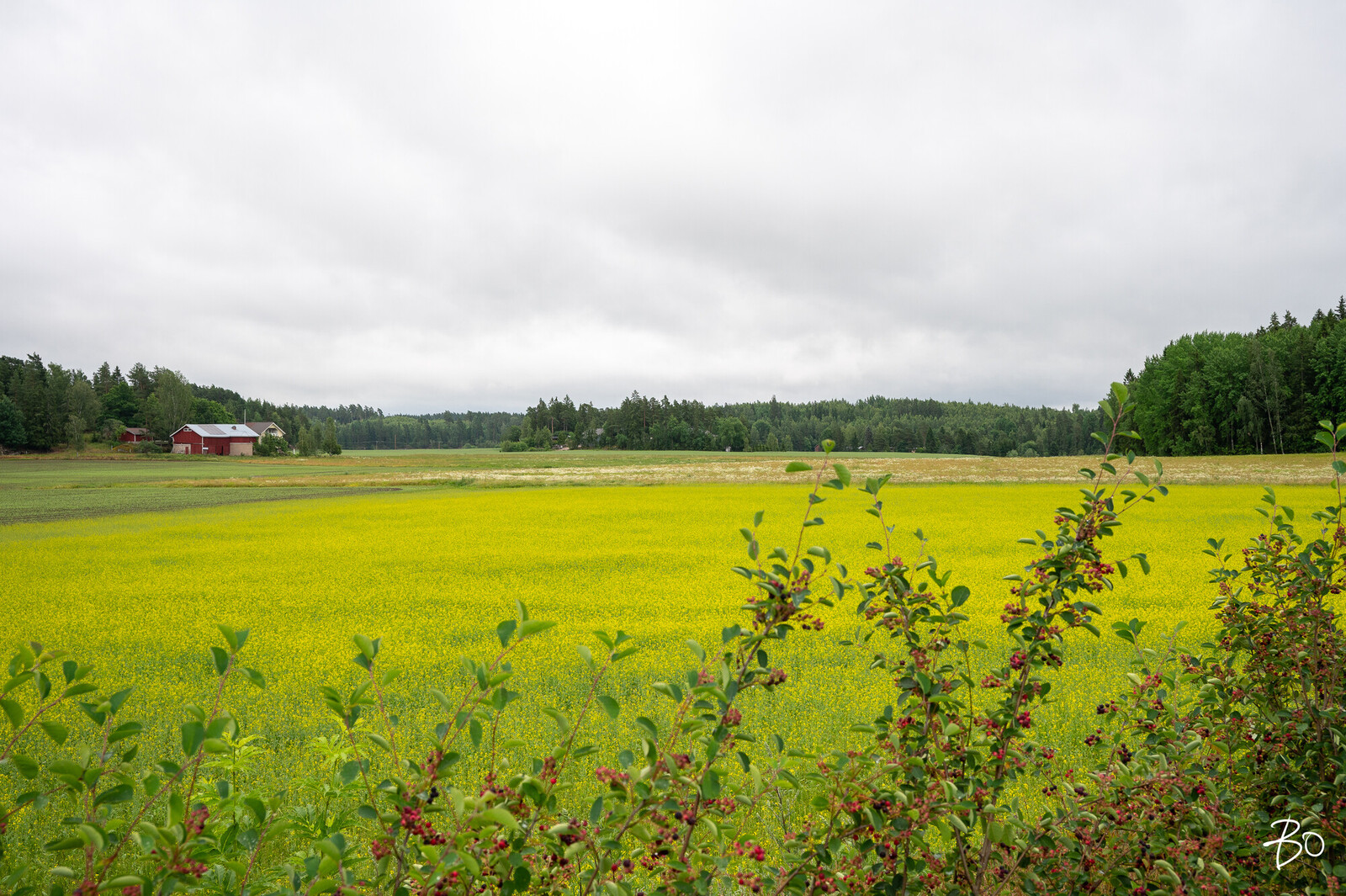 Niittoaidankuja 11 A 4  - bild 44
