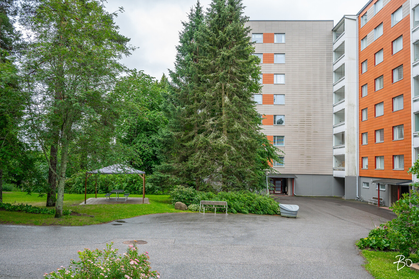 Petkeltie 4 - bild 23