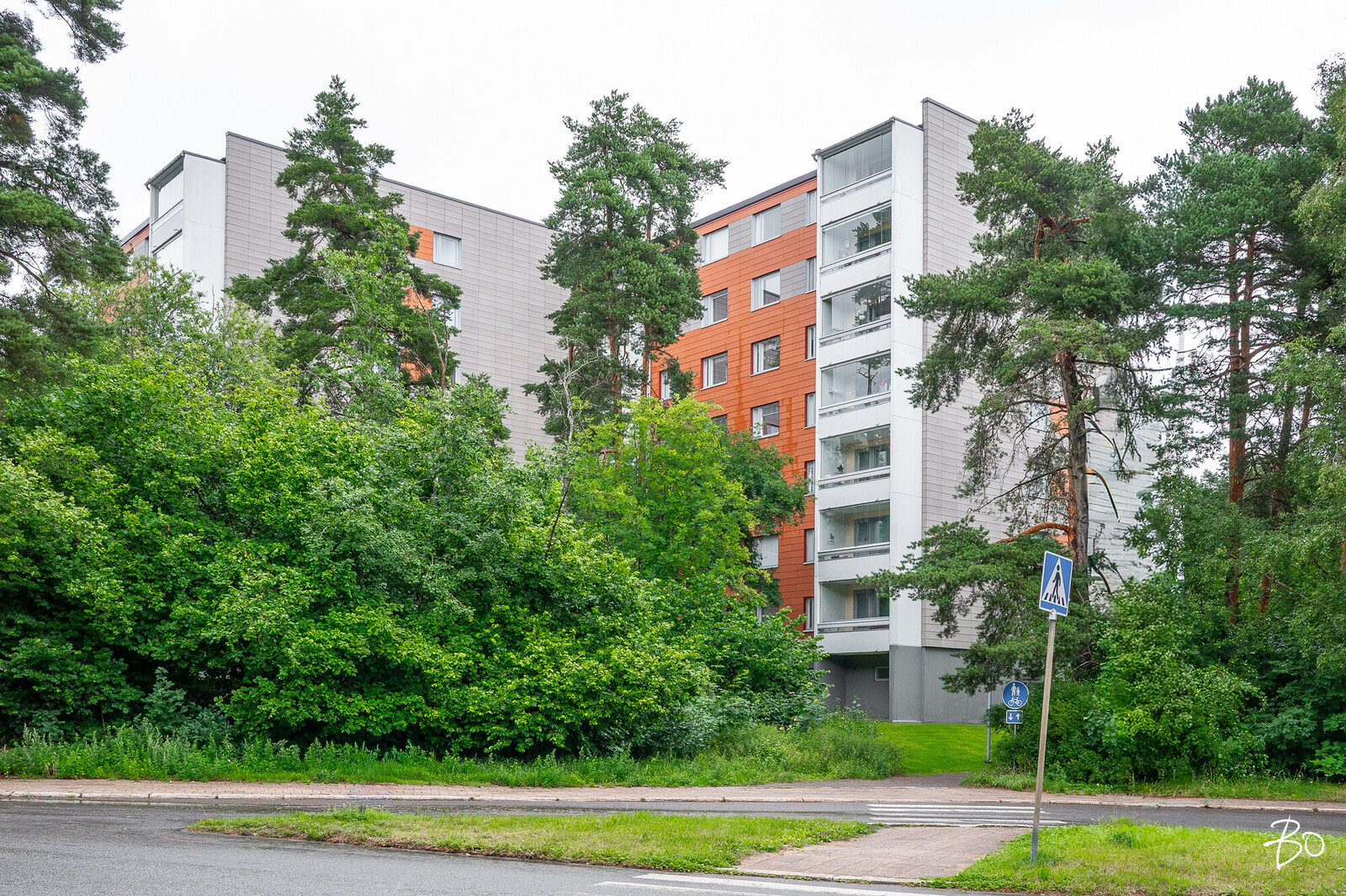 Petkeltie 4 - bild 25