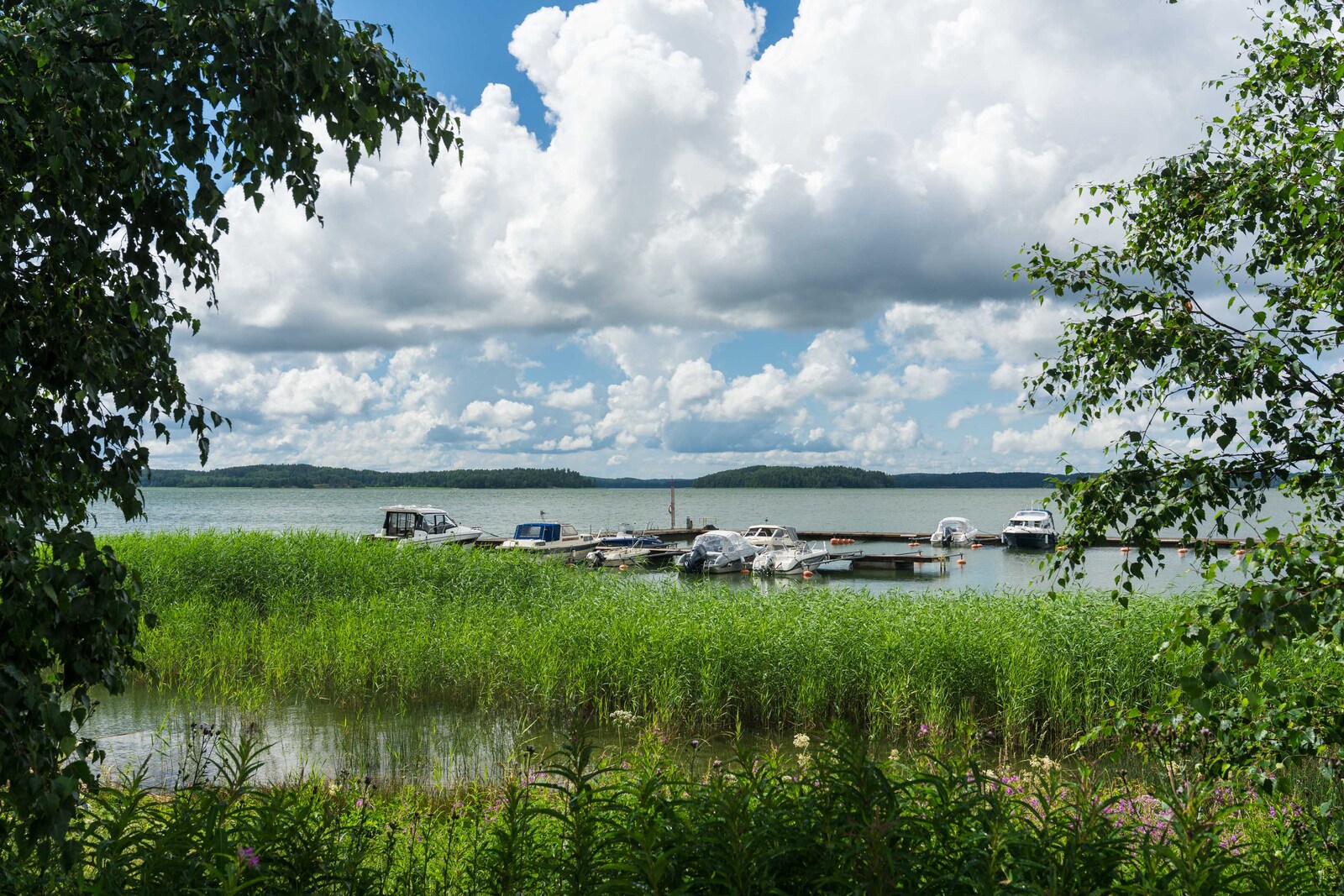 Osmalahdenahde 3 - bild 79