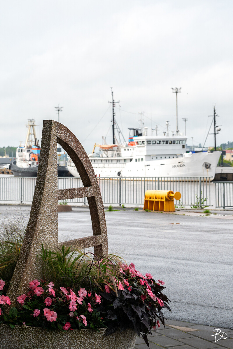 Eerik Pommerilaisen ranta 12 - kuva 40