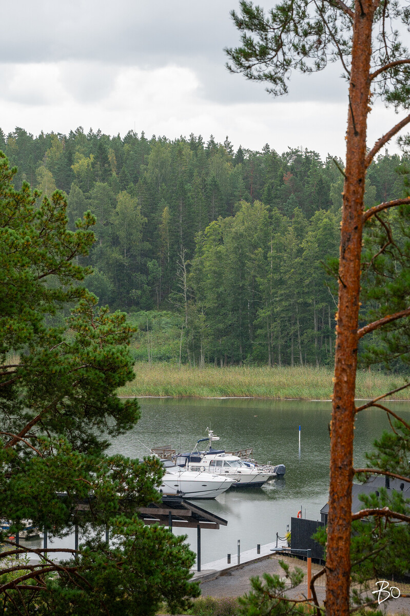 Lounatuuli 12b - image 54