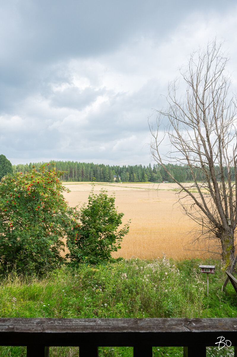 Koivumäentie 33 - kuva 26