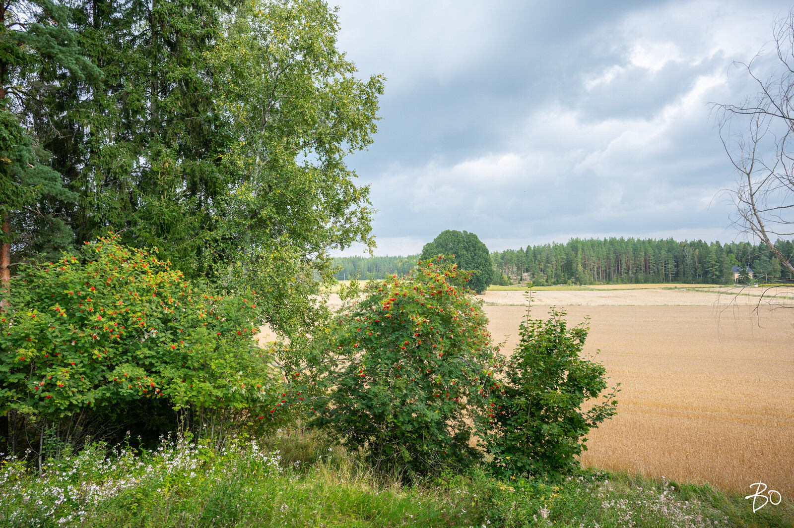 Koivumäentie 33 - kuva 27