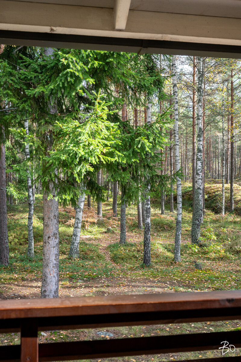 Lehtokertunkatu 14 - kuva 59