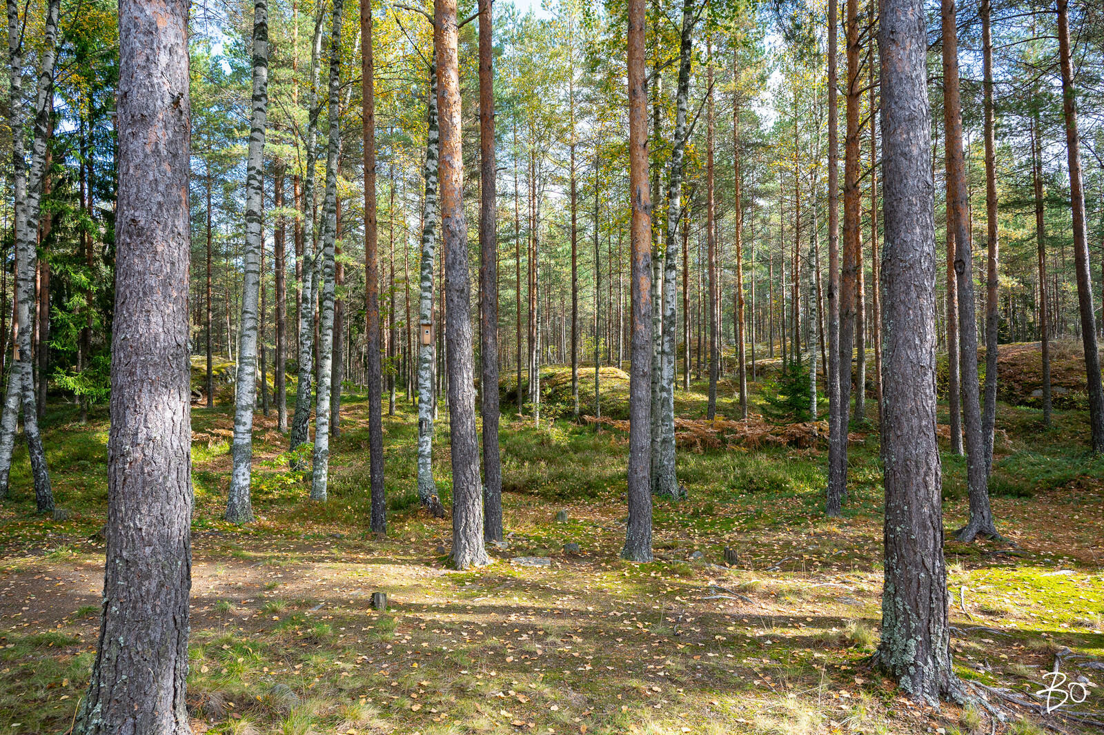 Lehtokertunkatu 14 - kuva 60
