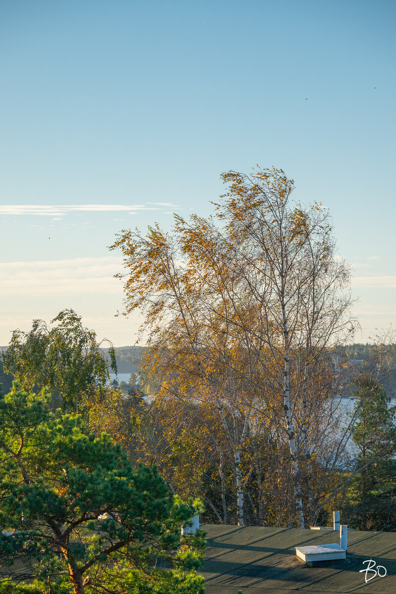 Rusthollinkatu 2 - kuva 32