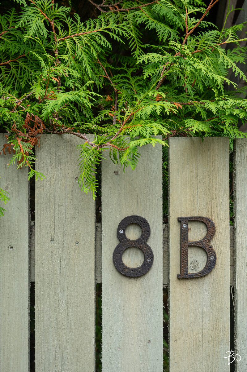Isohaantie 8 b  - kuva 66