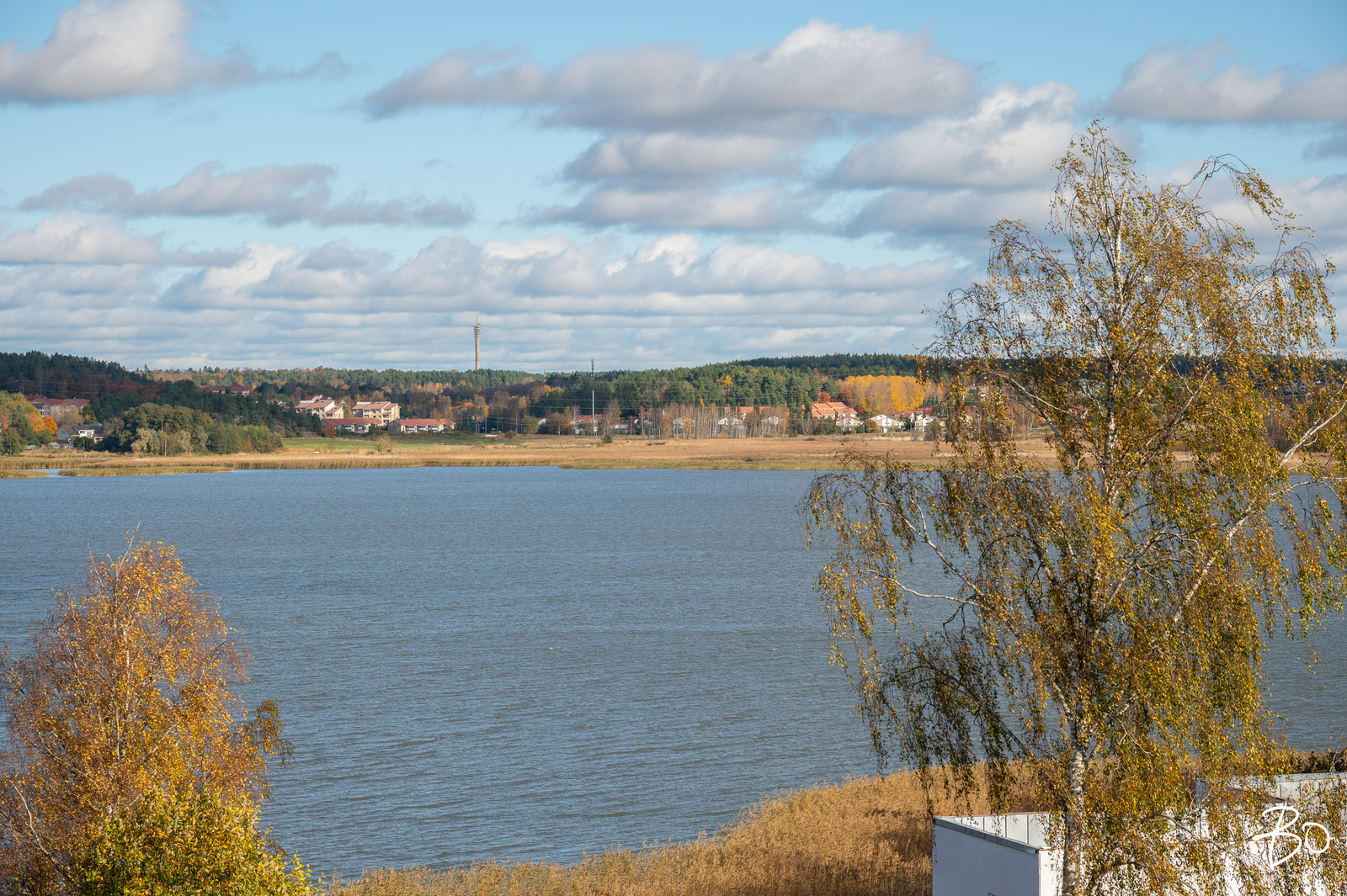 Papinjyrkkä 16 - kuva 22