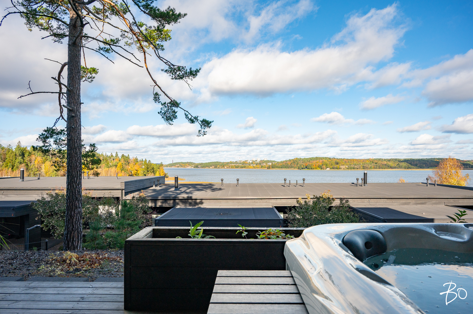 Papinjyrkkä 16 - kuva 52