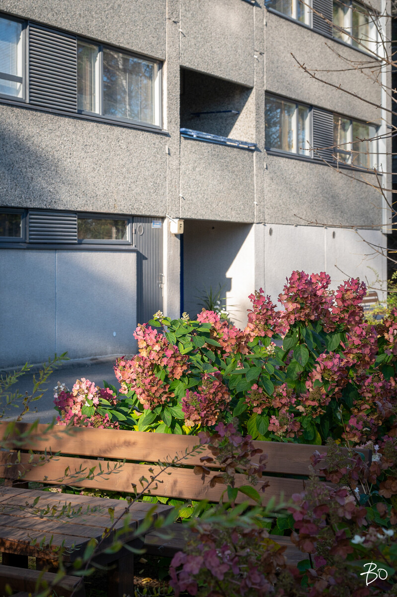 Pietarinkatu 1 - kuva 41