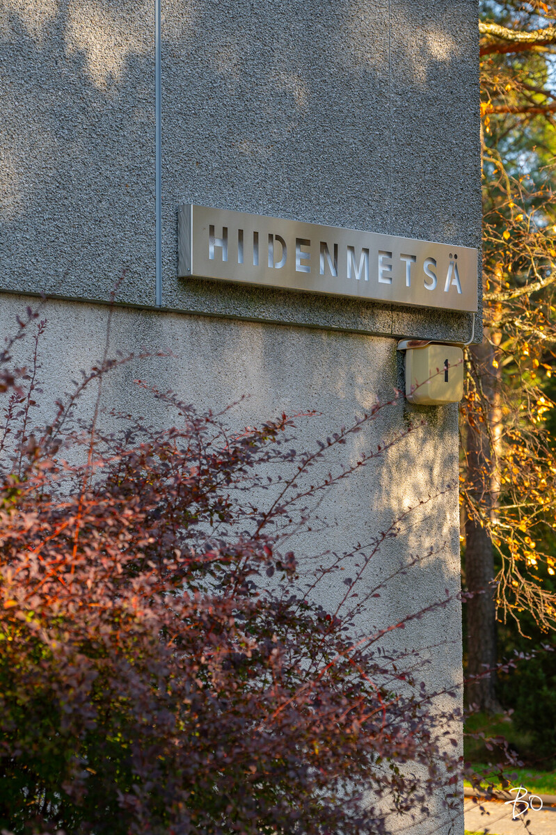 Pietarinkatu 1 - kuva 33