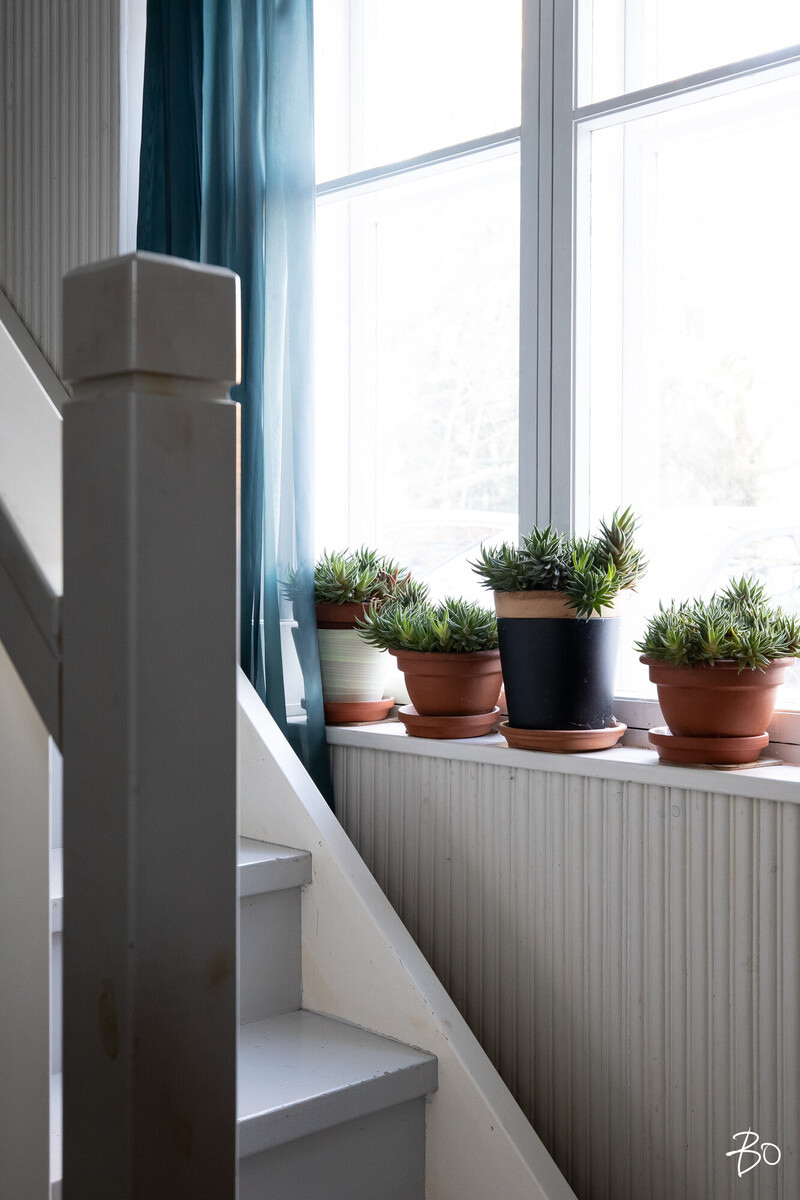 Pyynikintie 6 - image 17