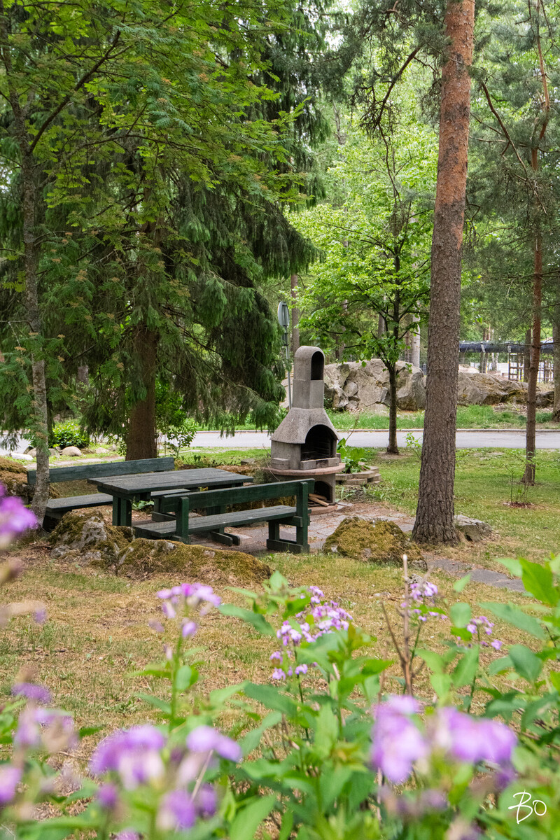 Mekaniikanpolku 10 - kuva 13