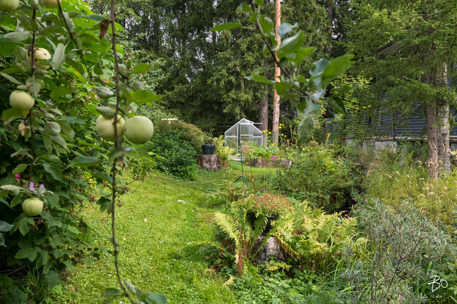 Holvastinkatu 2 - kuva 43