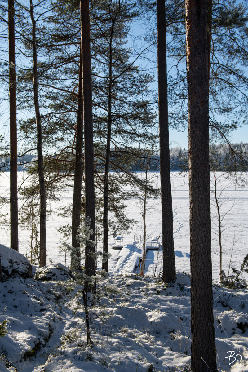 Hevossaarentie 95 - image 25