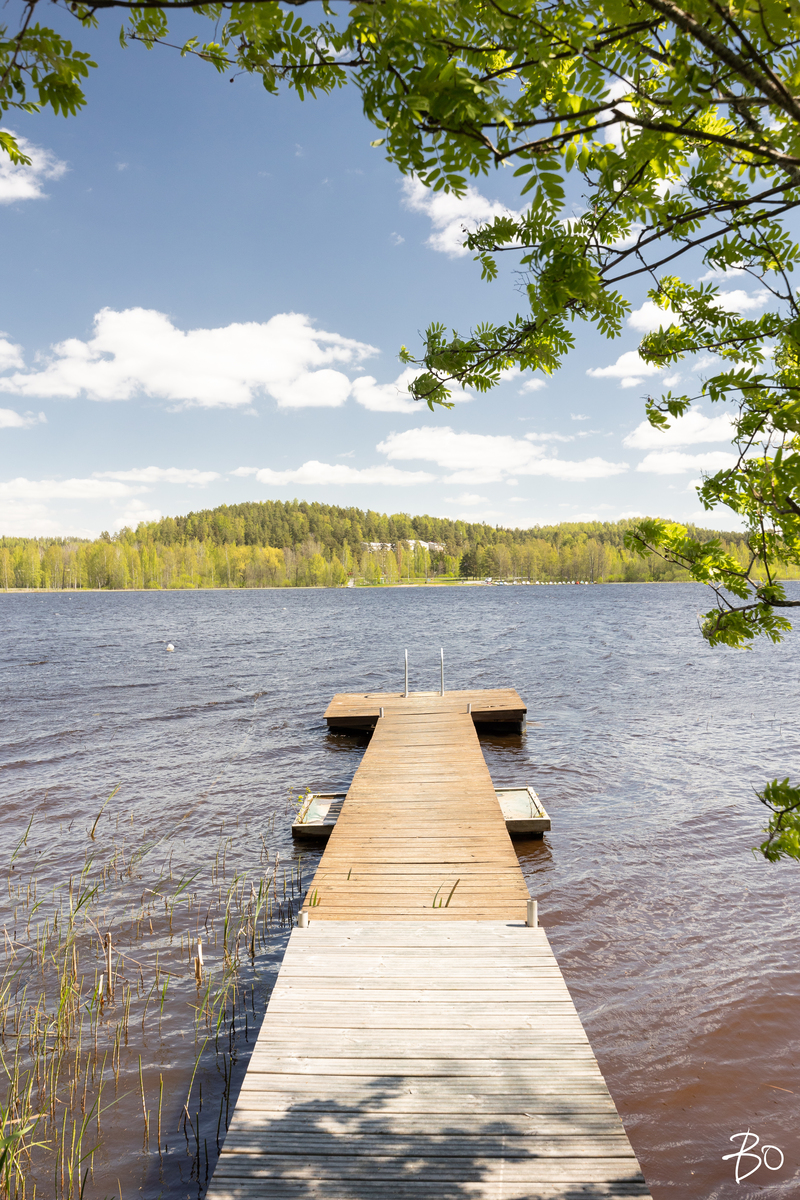 Ohdakepolku 15 - kuva 39