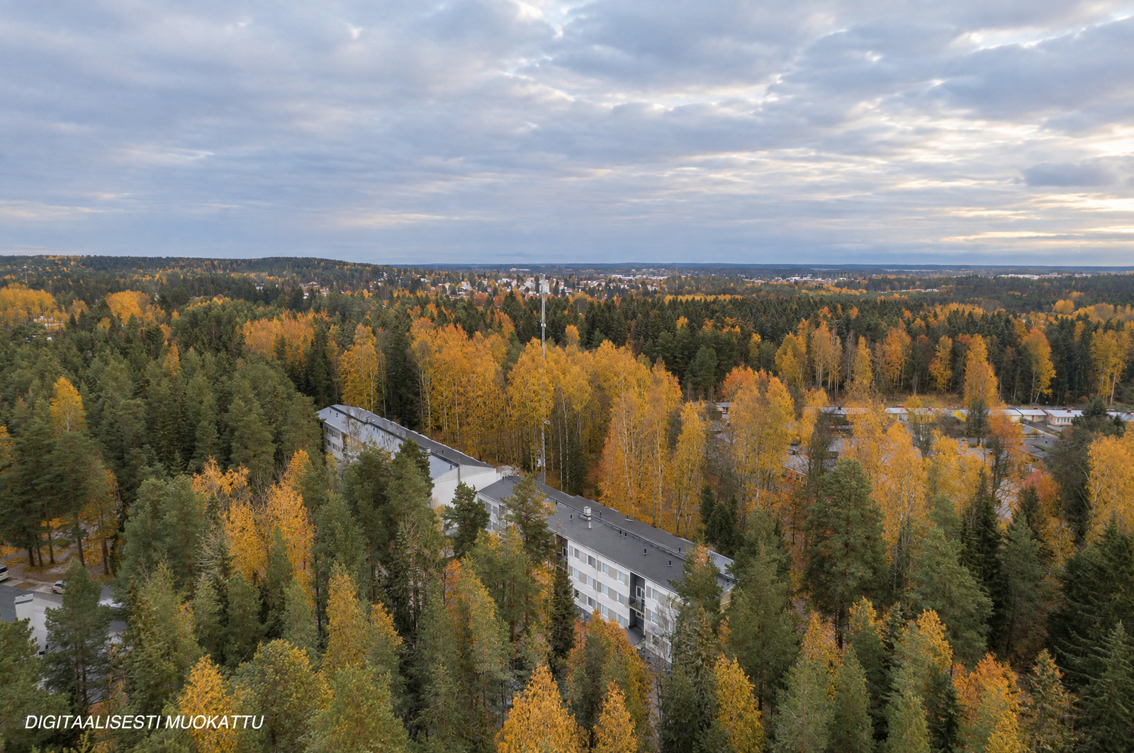 Käräjätörmä 2 - kuva 16