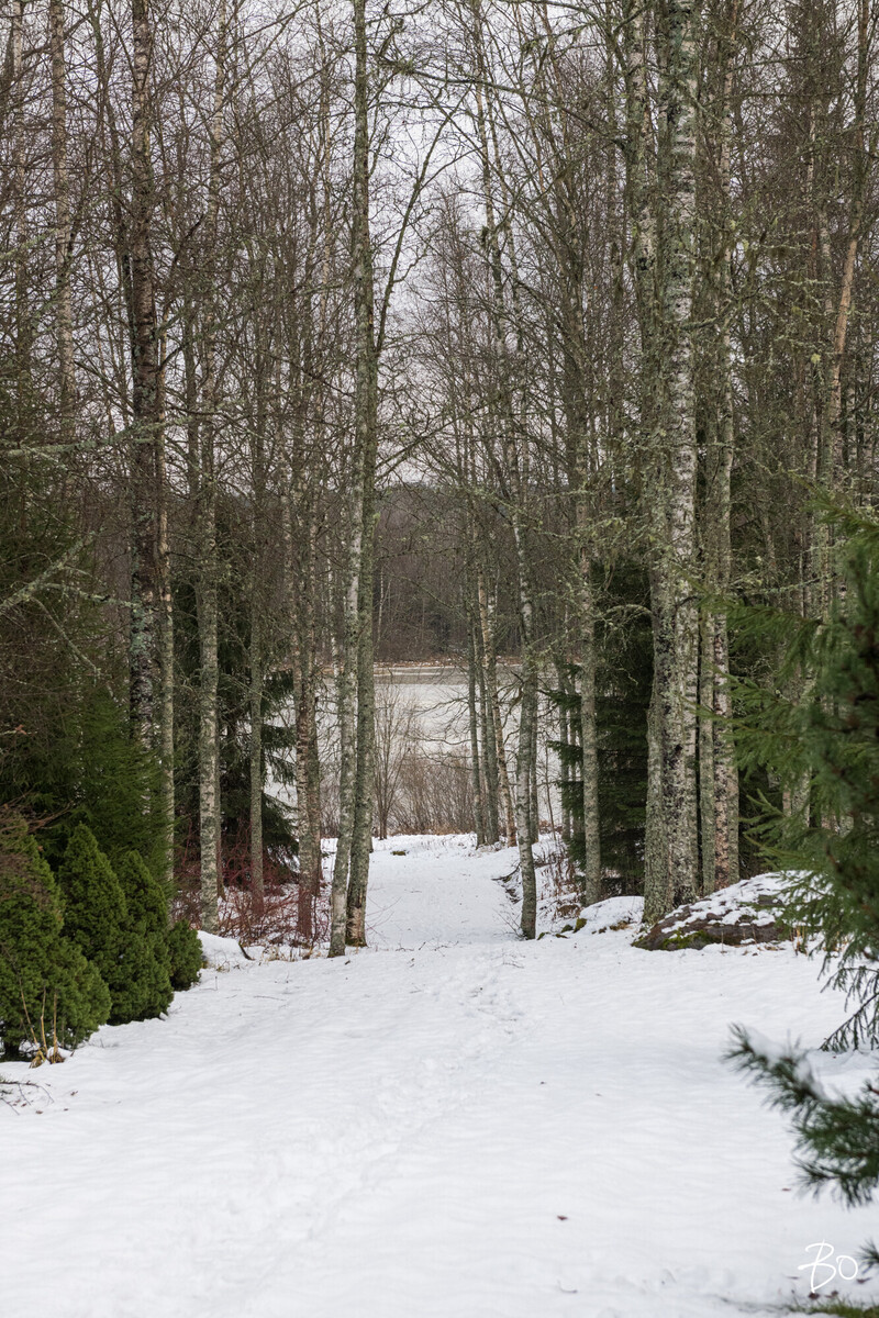 Hauhuuntie 652 - kuva 55