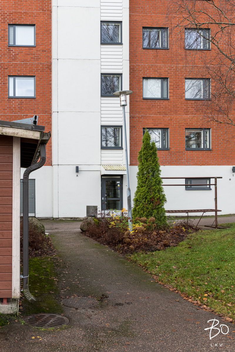 Laattapolku 1 - kuva 18