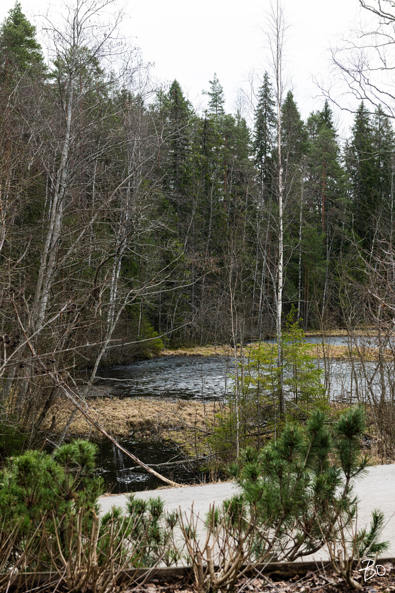 Nuotiokatu 1 - image 25