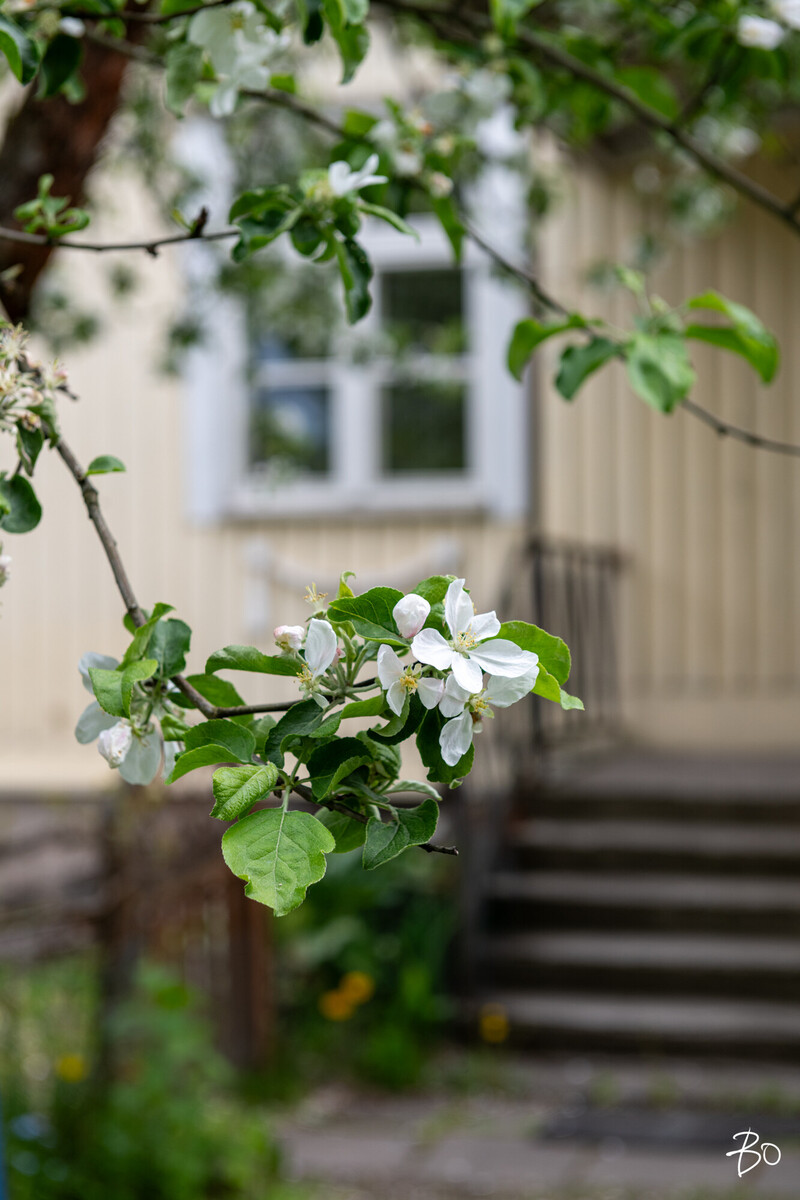 Kaupinkatu 4 - kuva 47