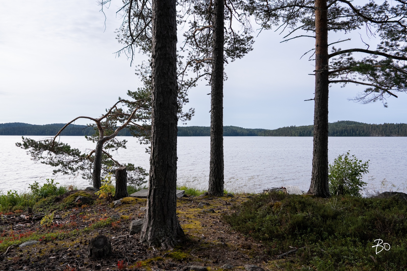 Leppäjärventie 243 - kuva 1