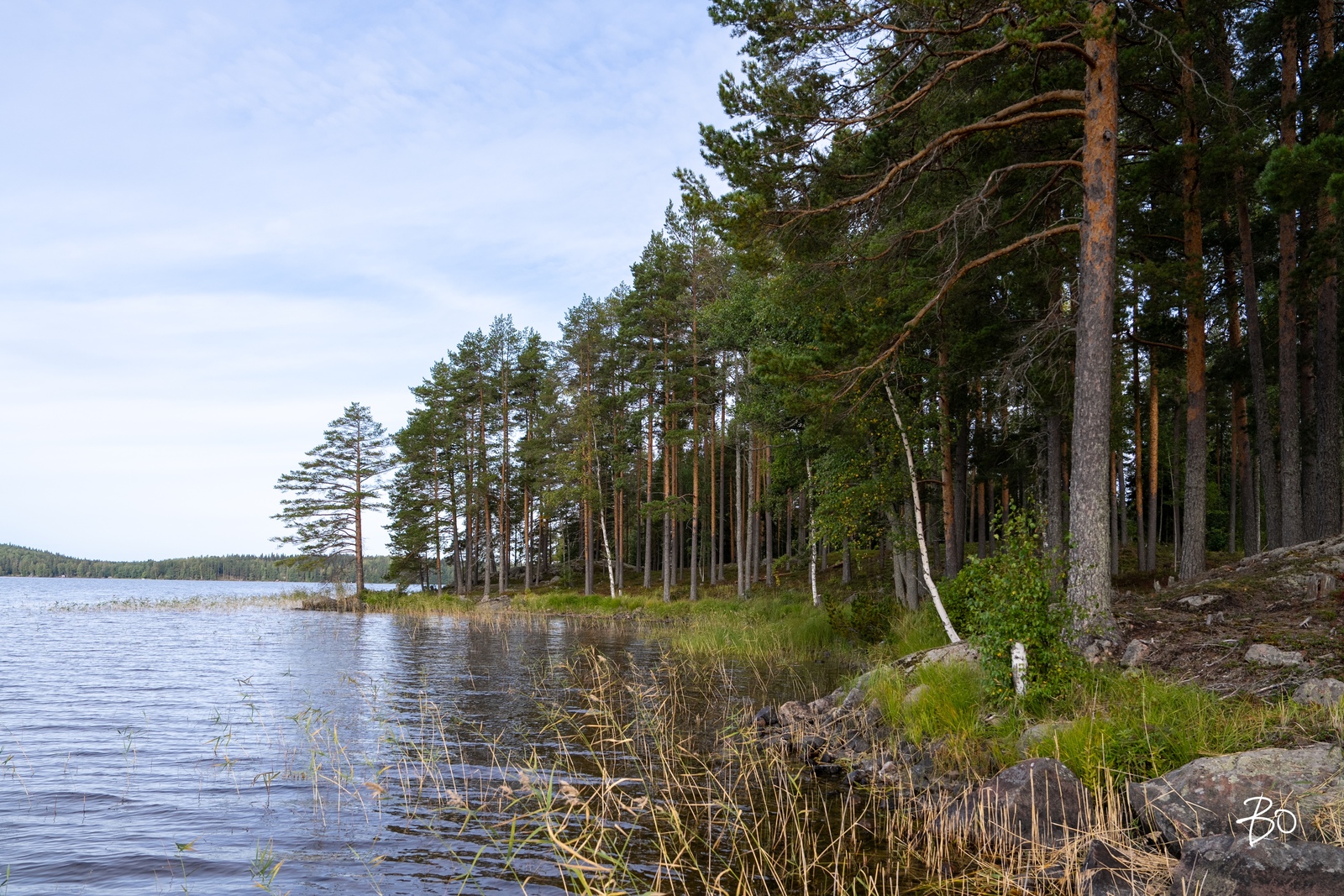 Leppäjärventie 243 - kuva 9