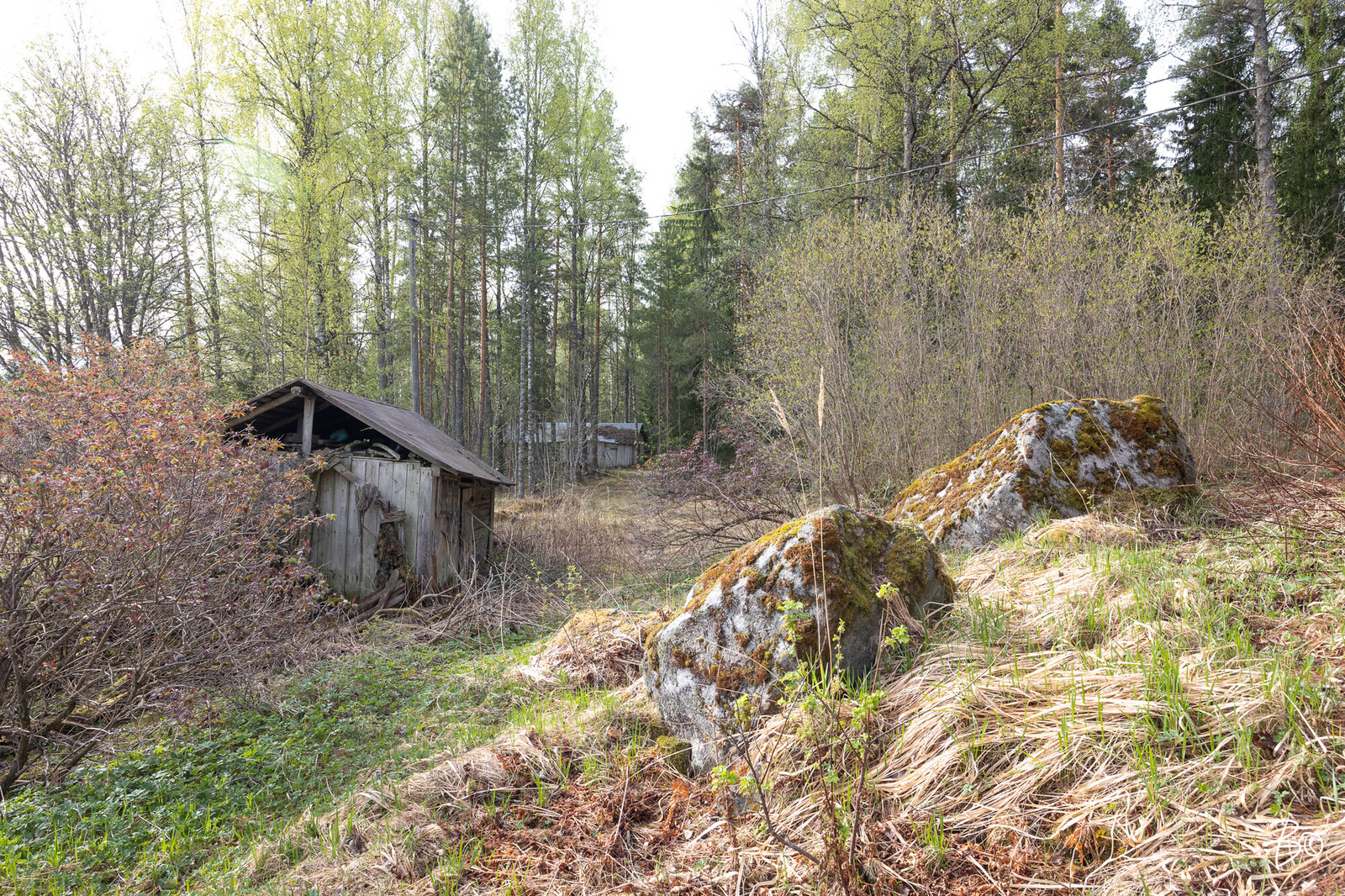 Maijanmutka 15 - kuva 14