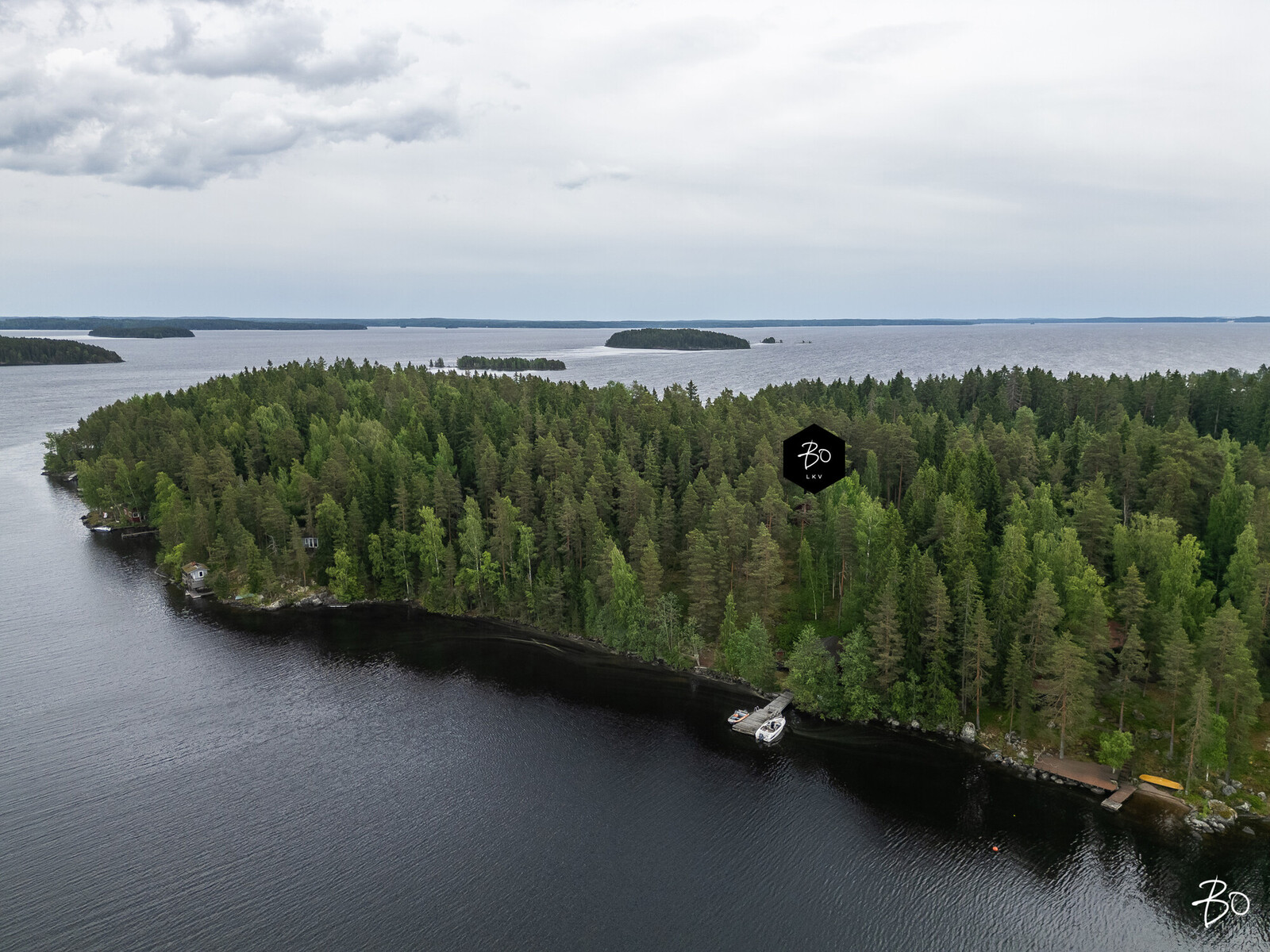 Melansyöstävä  - kuva 55