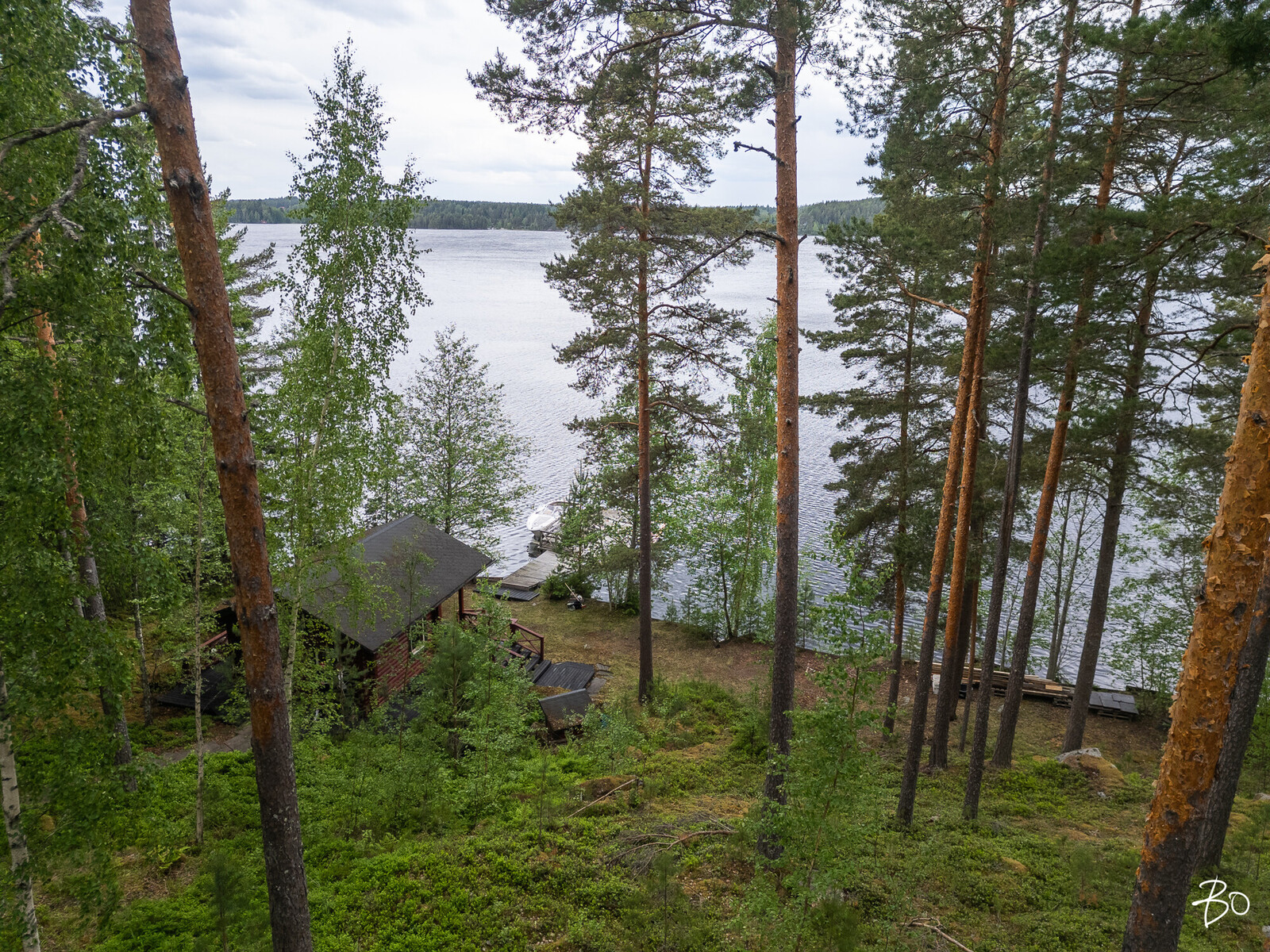 Melansyöstävä  - kuva 38