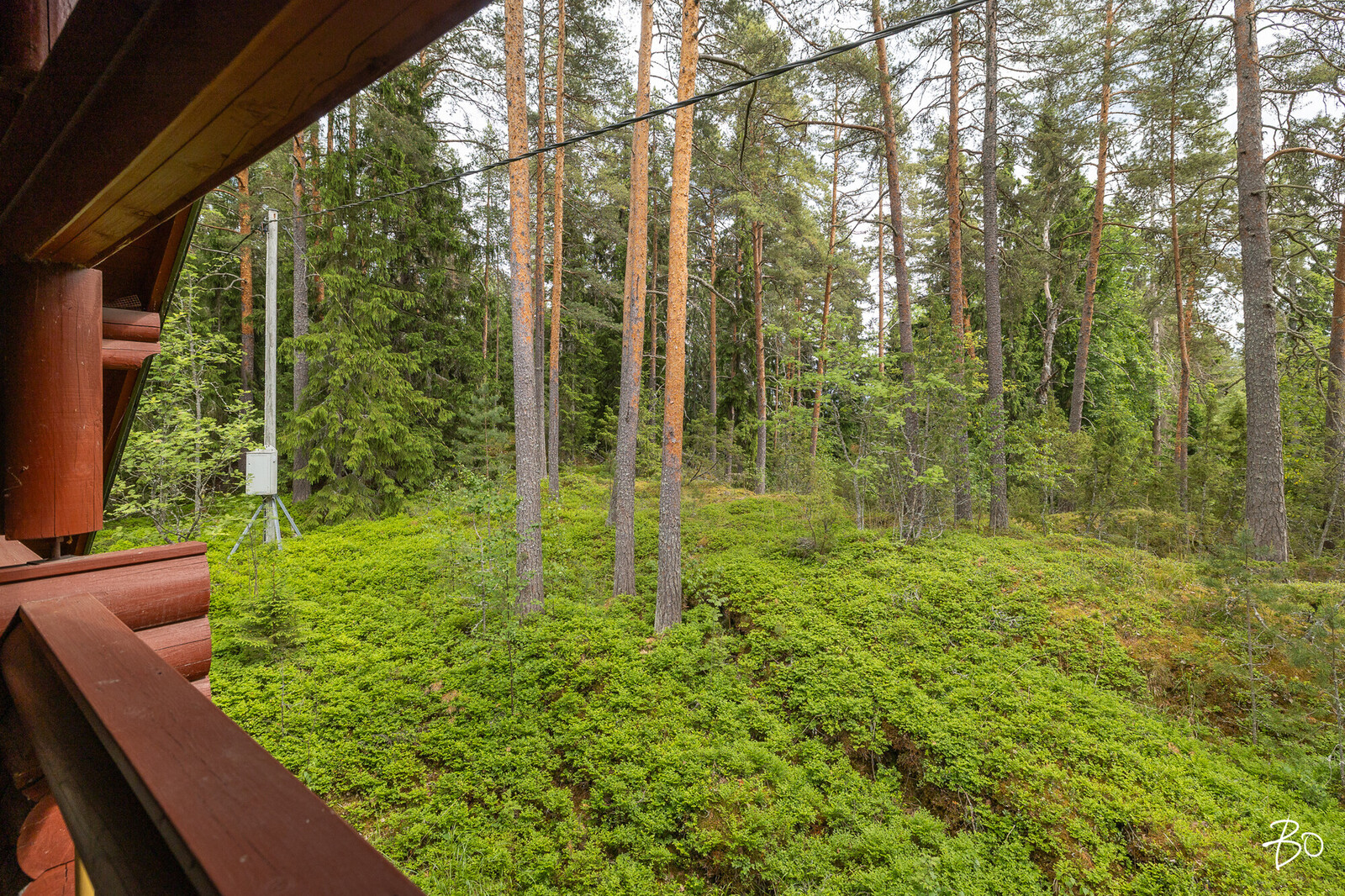 Melansyöstävä  - kuva 22