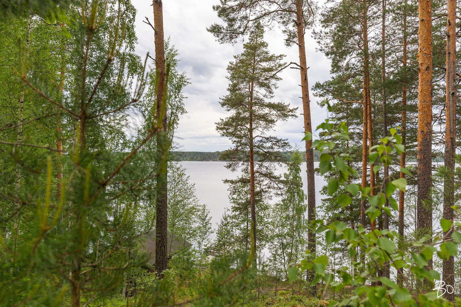 Melansyöstävä  - kuva 35