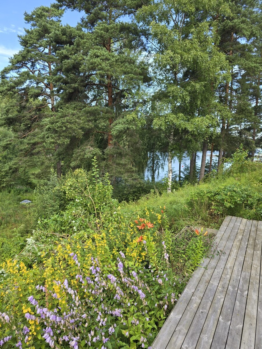 Koljonseläntie 7 - kuva 17